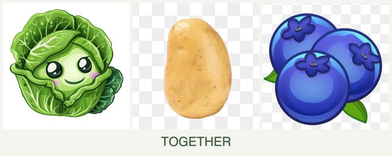 Can you plant cabbage, potatoes and blueberries together?