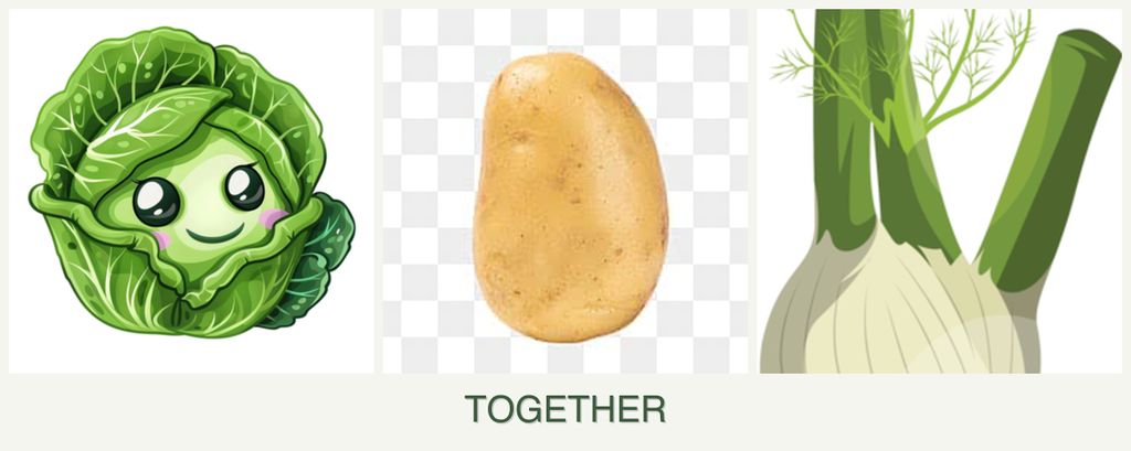 Can you plant cabbage, potatoes and fennel together?