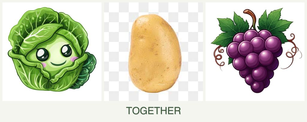 Can you plant cabbage, potatoes and grapes together?