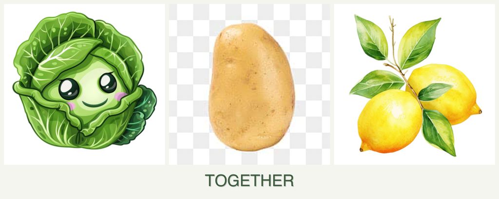 Can you plant cabbage, potatoes and lemons together?