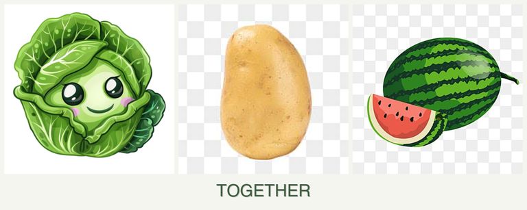 Can you plant cabbage, potatoes and melons together?