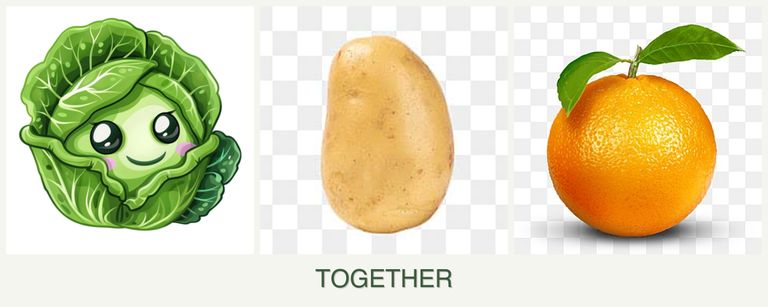 Can you plant cabbage, potatoes and oranges together?