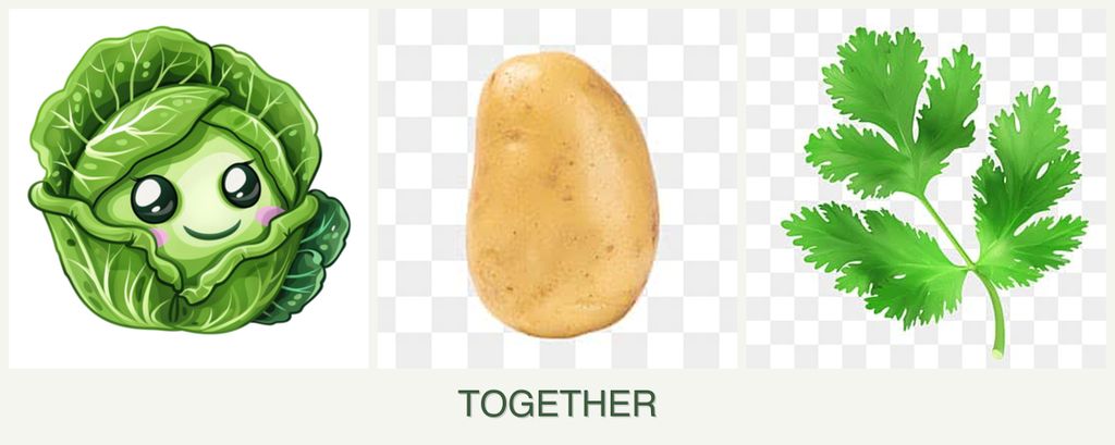 Can you plant cabbage, potatoes and parsley together?