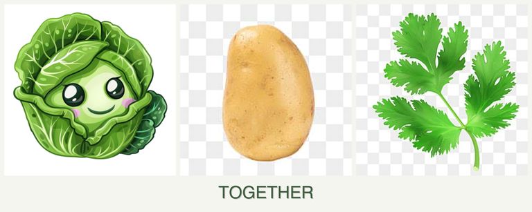 Can you plant cabbage, potatoes and parsley together?