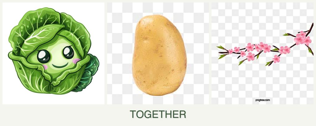 Can you plant cabbage, potatoes and peaches together?