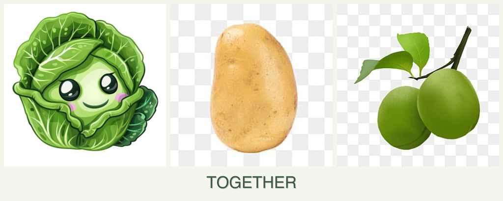 Can you plant cabbage, potatoes and plums together?