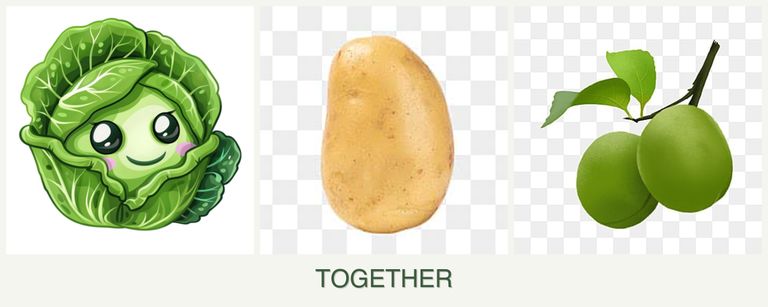 Can you plant cabbage, potatoes and plums together?