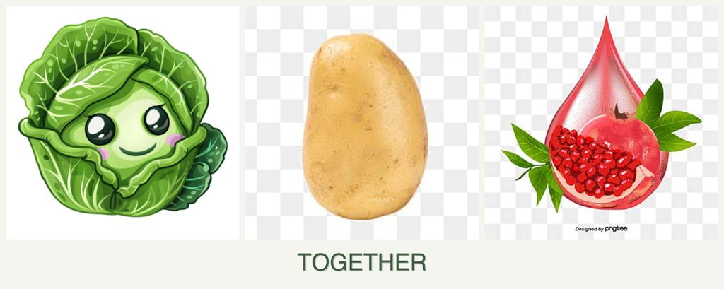 Can you plant cabbage, potatoes and pomegranates together?