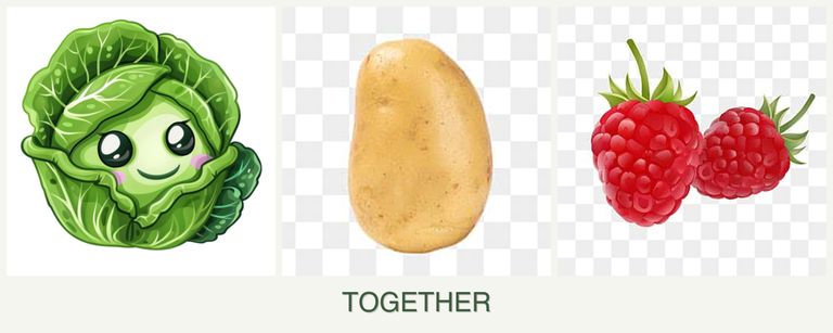 Can you plant cabbage, potatoes and raspberries together?