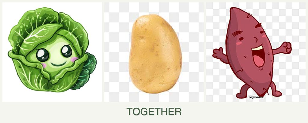 Can you plant cabbage, potatoes and sweet potatoes together?