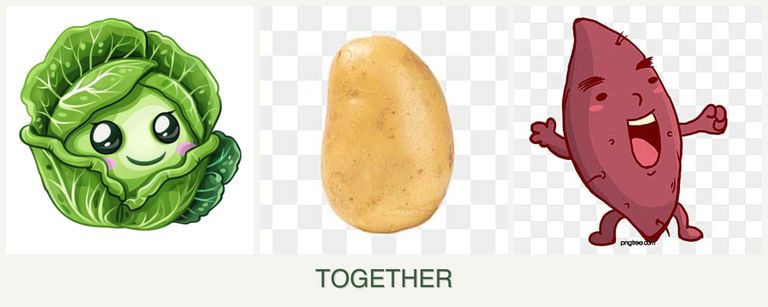 Can you plant cabbage, potatoes and sweet potatoes together?