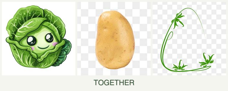 Can you plant cabbage, potatoes and tarragon together?