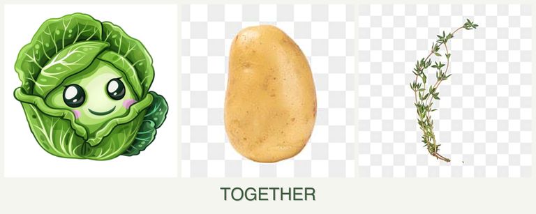 Can you plant cabbage, potatoes and thyme together?