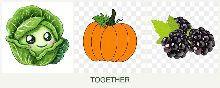 Can you plant cabbage, pumpkin and blackberries together?