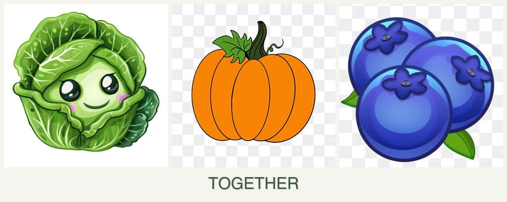 Can you plant cabbage, pumpkin and blueberries together?
