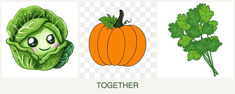 Can you plant cabbage, pumpkin and cilantro together?