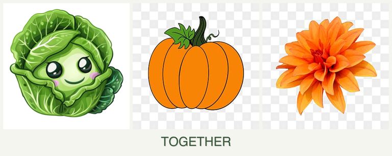 Can you plant cabbage, pumpkin and dahlias together?