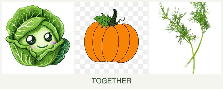 Can you plant cabbage, pumpkin and dill together?