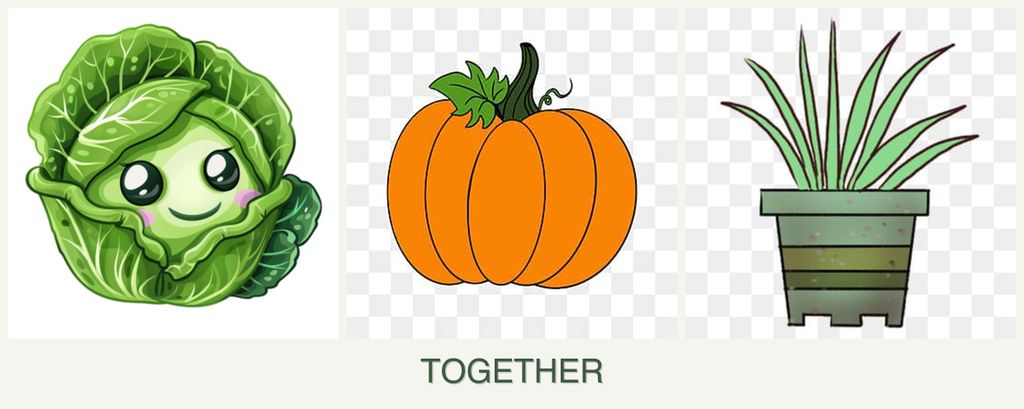 Can you plant cabbage, pumpkin and lemongrass together?
