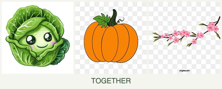 Can you plant cabbage, pumpkin and peaches together?