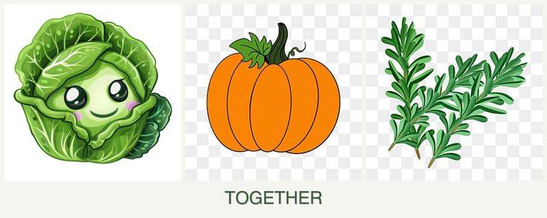 Can you plant cabbage, pumpkin and rosemary together?