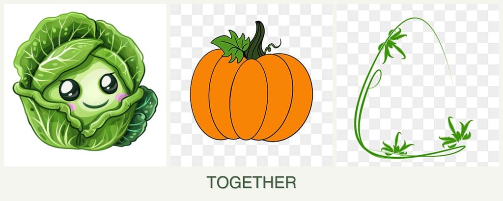 Can you plant cabbage, pumpkin and tarragon together?