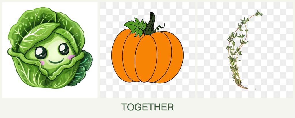 Can you plant cabbage, pumpkin and thyme together?