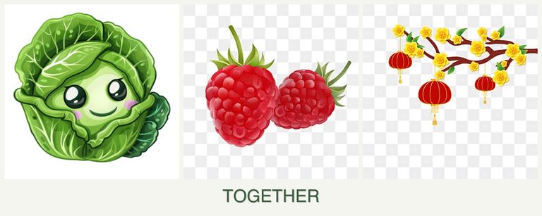 Can you plant cabbage, raspberries and apricots together?