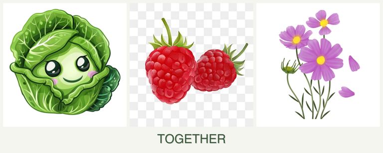 Can you plant cabbage, raspberries and cosmos together?