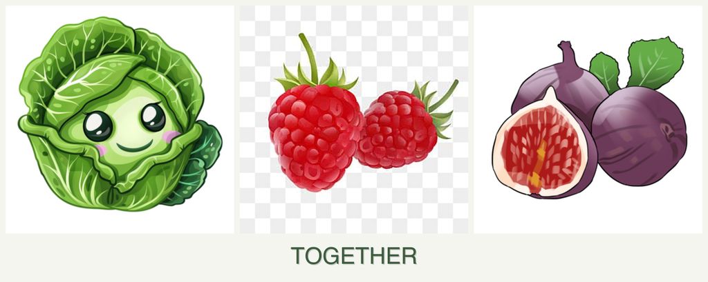 Can you plant cabbage, raspberries and figs together?