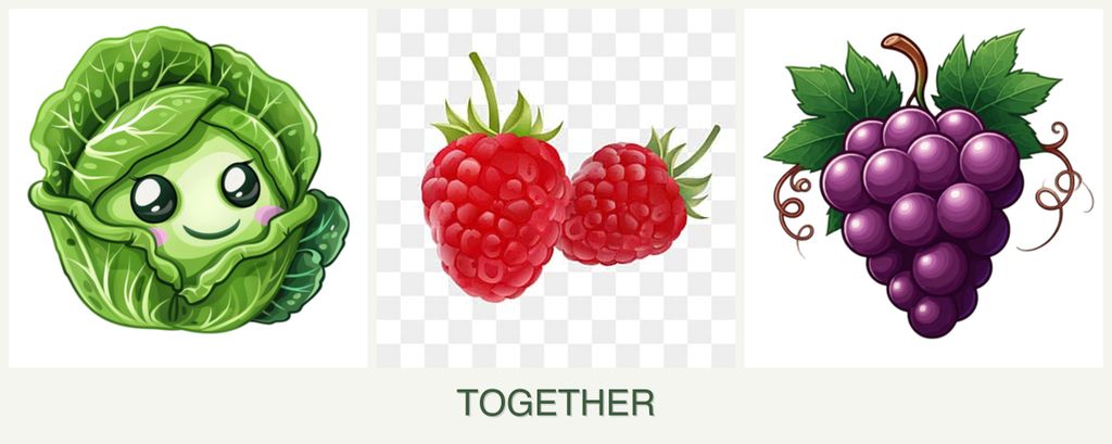 Can you plant cabbage, raspberries and grapes together?