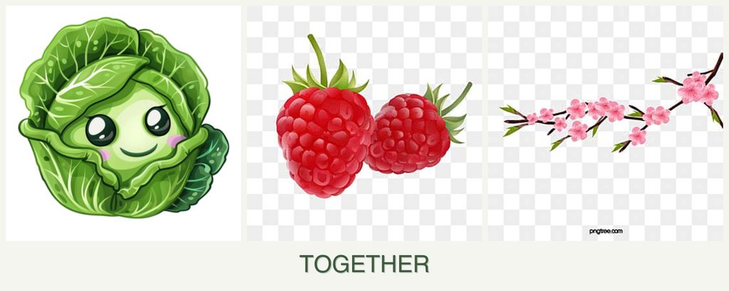 Can you plant cabbage, raspberries and peaches together?