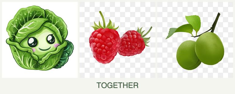 Can you plant cabbage, raspberries and plums together?
