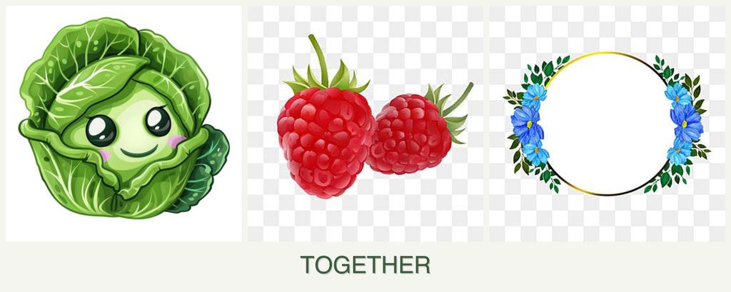 Can you plant cabbage, raspberries and zinnias together?