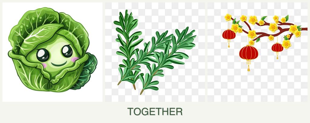 Can you plant cabbage, rosemary and apricots together?