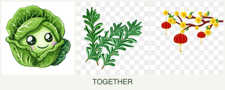 Can you plant cabbage, rosemary and apricots together?