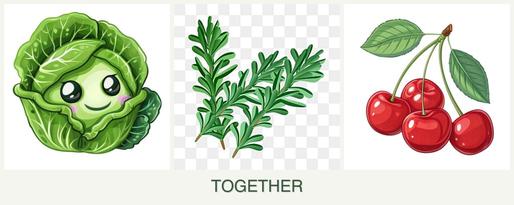 Can you plant cabbage, rosemary and cherries together?
