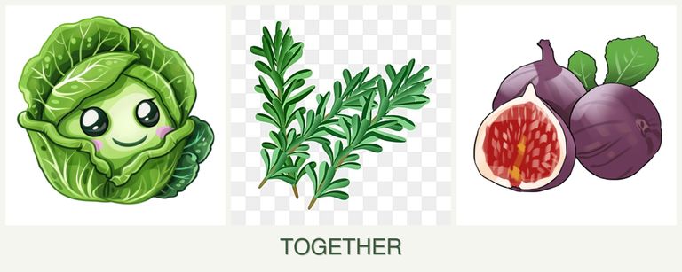 Can you plant cabbage, rosemary and figs together?