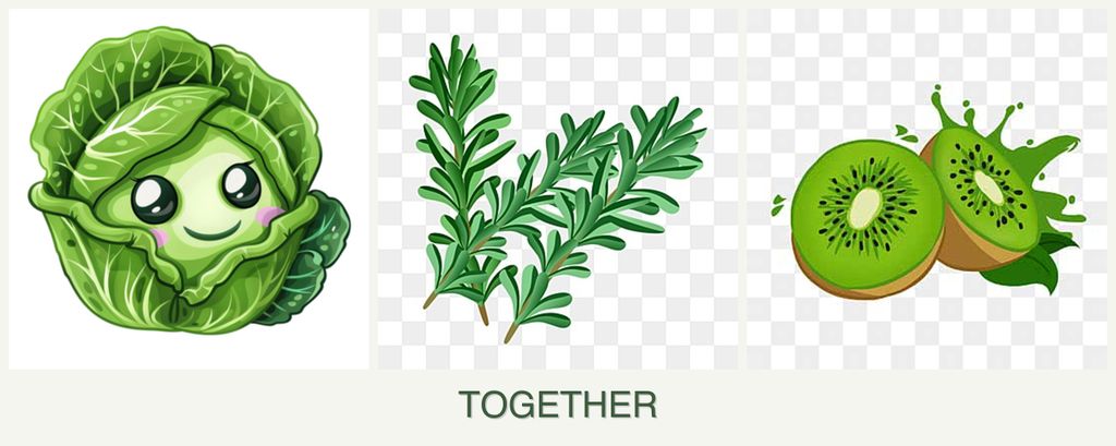 Can you plant cabbage, rosemary and kiwi together?