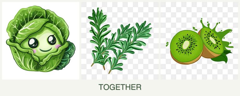 Can you plant cabbage, rosemary and kiwi together?