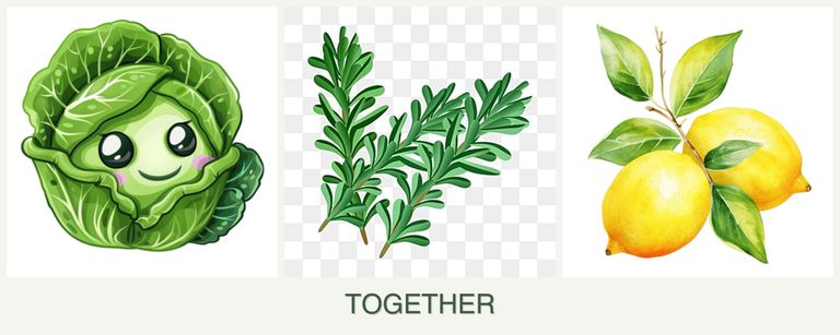Can you plant cabbage, rosemary and lemons together?