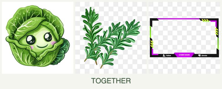 Can you plant cabbage, rosemary and limes together?