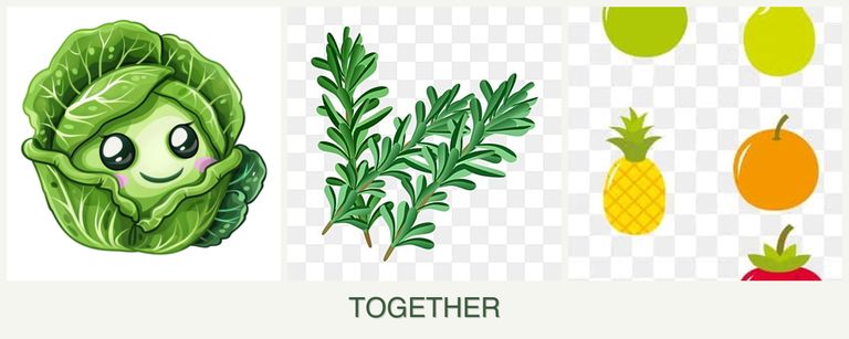 Can you plant cabbage, rosemary and pears together?