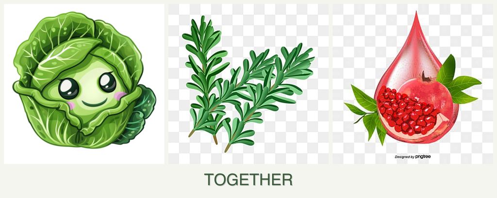 Can you plant cabbage, rosemary and pomegranates together?
