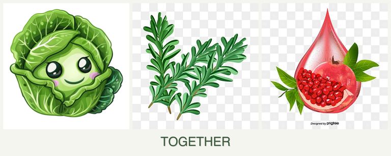 Can you plant cabbage, rosemary and pomegranates together?