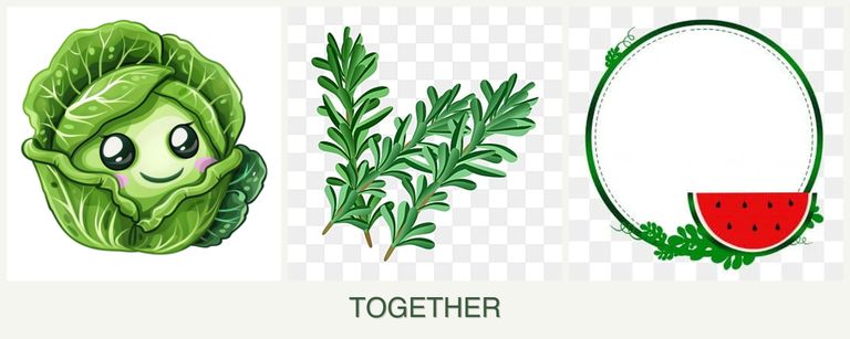 Can you plant cabbage, rosemary and watermelons together?