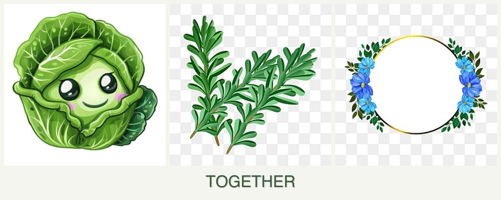 Can you plant cabbage, rosemary and zinnias together?