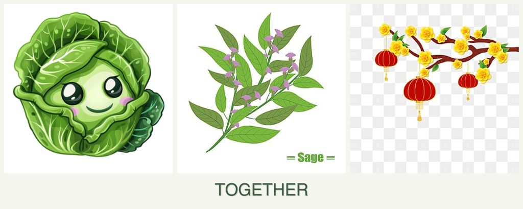Can you plant cabbage, sage and apricots together?