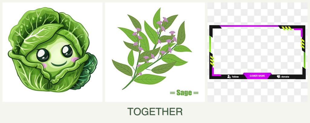 Can you plant cabbage, sage and limes together?