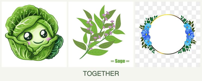 Can you plant cabbage, sage and zinnias together?